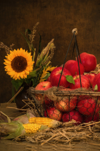 Bild-Nr: 11233914 Stillleben im Herbst II Erstellt von: HeschFoto