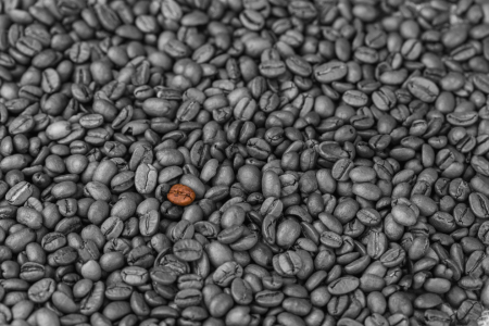 Bild-Nr: 11234692 Kaffeebohne Erstellt von: HeschFoto