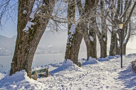 Bild-Nr: 11234942 Winterliche Baumreihe am Tegernsee Erstellt von: EderHans