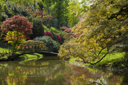 Bild-Nr: 11244772 Park mit Teich Erstellt von: danielschoenen