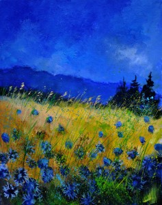 Bild-Nr: 11245432 blue cornflowers Erstellt von: Pol Ledent