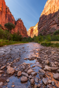 Bild-Nr: 11246106 Zion NP Creek Erstellt von: TomKli