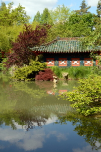 Bild-Nr: 11247616 Im Japangarten Erstellt von: GUGIGEI