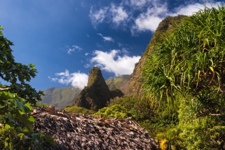 Bild-Nr: 11247856 Iao Valley State Park Erstellt von: TomKli