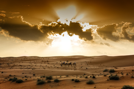 Bild-Nr: 11249184 Sonnenuntergang Wüste Wahiba Oman Erstellt von: Wolfgang Zwanzger
