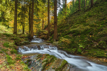 Bild-Nr: 11251522 Wildbach Erstellt von: HeschFoto