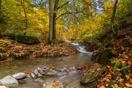 Bild-Nr: 11251530 Wildbach II Erstellt von: HeschFoto