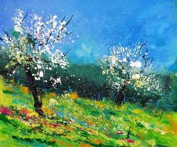 Bild-Nr: 11264594 Orchard 564150 Erstellt von: Pol Ledent