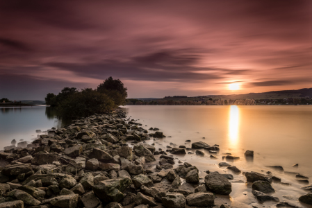 Bild-Nr: 11266132 Geheimnisvolle Rhein-Insel Erstellt von: Erhard Hess