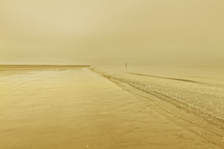 Bild-Nr: 11273774 Sea of Gold Erstellt von: ReichderNatur