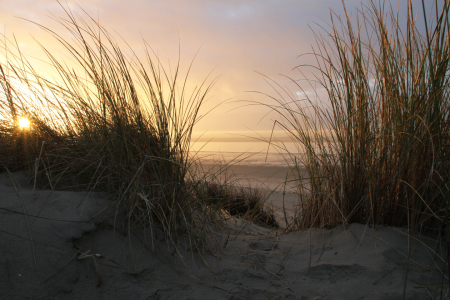 Bild-Nr: 11274400 Sunset am Strand Erstellt von: Delphine