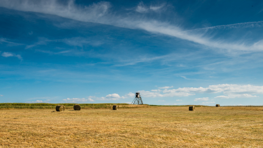 Bild-Nr: 11282860 Weites Land Erstellt von: Erhard Hess