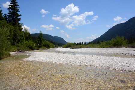 Bild-Nr: 11284166 .. an der Isar .. Erstellt von: GUGIGEI