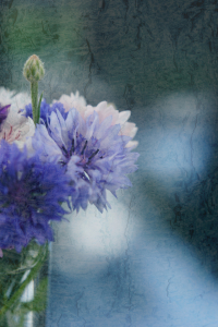 Bild-Nr: 11284464 Kornblumen in Vase Erstellt von: Christine Bässler