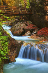 Bild-Nr: 11291742 Rosengartenschlucht Erstellt von: Thomas Herzog