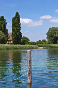 Bild-Nr: 11291902 Insel Reichenau - Landschaft am Bodensee 2  Erstellt von: Anja Schäfer