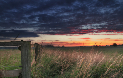 Bild-Nr: 11297474 Harmstorf sunset II Erstellt von: PhotoArt-Hartmann