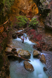 Bild-Nr: 11300120 Wilde Schlucht Erstellt von: Thomas Herzog