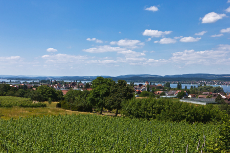 Bild-Nr: 11301410 Landschaft am Bodensee auf der Insel Reichenau 2 Erstellt von: Anja Schäfer