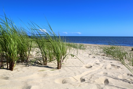 Bild-Nr: 11301570 Nordseegarten Erstellt von: Ursula Reins