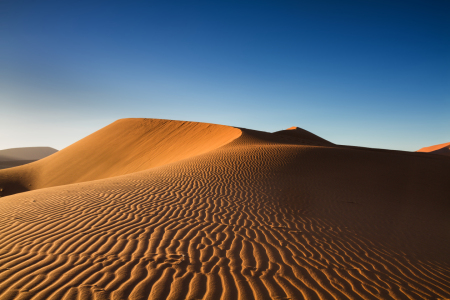 Bild-Nr: 11302576 Spuren im Sand, Dünenfeld Sossusvlei, Namibia Erstellt von: Circumnavigation