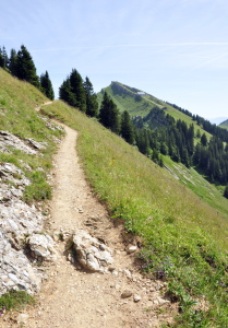 Bild-Nr: 11303882 Wanderweg zum Hochgrat Erstellt von: GUGIGEI