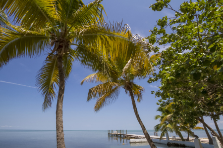 Bild-Nr: 11310316 FLORIDA KEYS Heavenly World Erstellt von: Melanie Viola