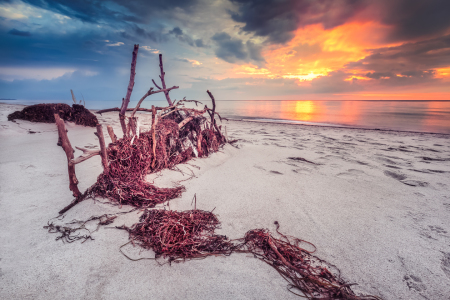 Bild-Nr: 11311858 Idylle am Weststrand Darß Ostsee Erstellt von: diwiesign