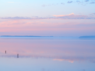 Bild-Nr: 11312160 Nebel am Bodden von Dabitz Erstellt von: Renate Knapp