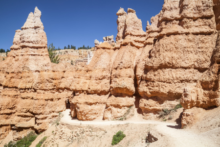 Bild-Nr: 11313776 BRYCE CANYON Weg durch die Hoodoos Erstellt von: Melanie Viola