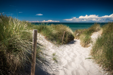 Bild-Nr: 11317940 Strand von Darß, Mecklenburg-Vorpommern Erstellt von: orxy