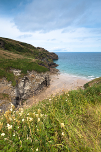 Bild-Nr: 11322634 Elephant Rock, Bossiney, Cornwall Erstellt von: dresdner