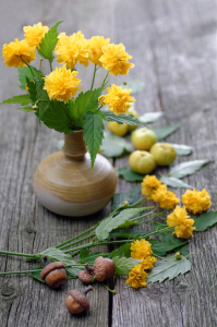 Bild-Nr: 11324656 Blüten und Früchte Erstellt von: Rolf Eschbach