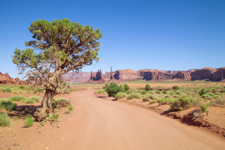 Bild-Nr: 11329741 MONUMENT VALLEY Valley Drive Erstellt von: Melanie Viola