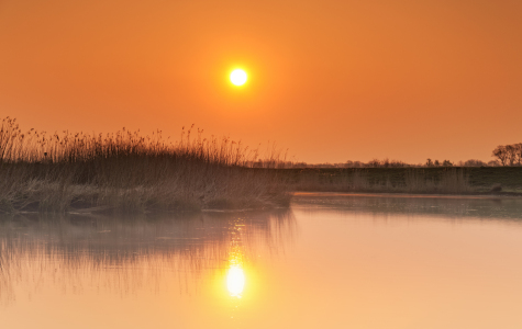 Bild-Nr: 11329905 Morgenstund Erstellt von: Nordbilder