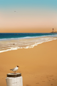 Bild-Nr: 11333239 Einsamer Strand Erstellt von: Mausopardia
