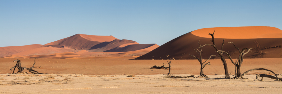 Bild-Nr: 11333481 Panorama Dead Vlei Erstellt von: Circumnavigation