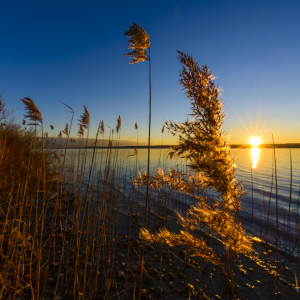 Bild-Nr: 11335189 SOFT LIGHT Erstellt von: DenisFeiner