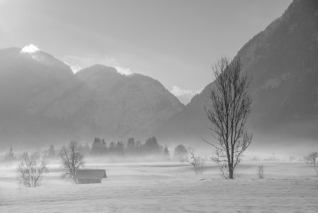 Bild-Nr: 11335317 Nebel am Morgen Erstellt von: ackermaennchen