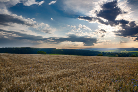 Bild-Nr: 11335985 Impressionen Vulkaneifel Erstellt von: Rene Conzen