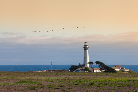 Bild-Nr: 11340748 Pigeon Point, Pazifikküste USA Erstellt von: janschuler