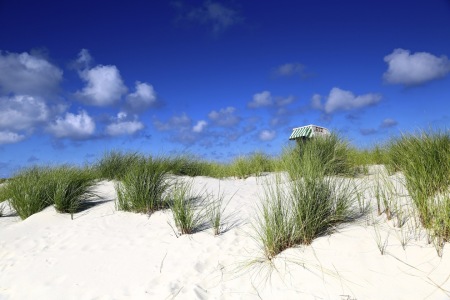 Bild-Nr: 11341324 Schöne Ferien auf Amrum Erstellt von: Ursula Reins