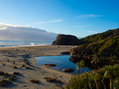 Bild-Nr: 11342564 Neuseeland - einsamer Strand bei Haast Erstellt von: mao-in-photo