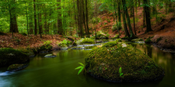 Bild-Nr: 11343562 Bayrischer Wald Erstellt von: StefanPrech