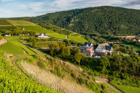 Bild-Nr: 11345132 Weinbau-Domäne Niederhausen Erstellt von: Erhard Hess