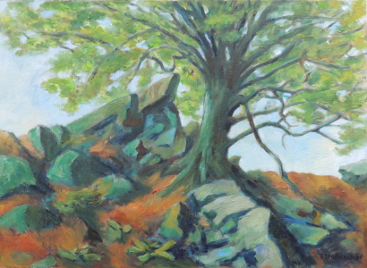 Bild-Nr: 11346204 Sprießender Baum auf Felsen Erstellt von: Landschaftsmaler
