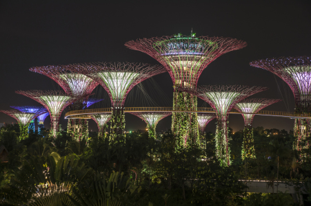 Bild-Nr: 11346902 Singapur - Gardens by the Bay Erstellt von: fotos4fun