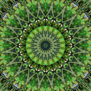 Bild-Nr: 11348798 Mandala pure Natur Erstellt von: Christine Bässler