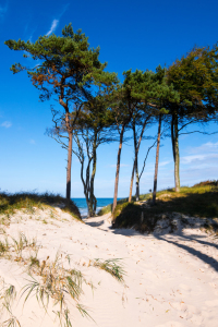 Bild-Nr: 11357164 Darß - am Weststrand Erstellt von: Reiner Würz