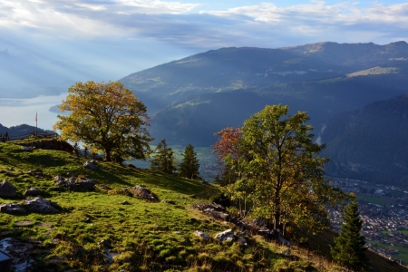 Bild-Nr: 11365562 Herbststimmung Erstellt von: Bettina Schnittert